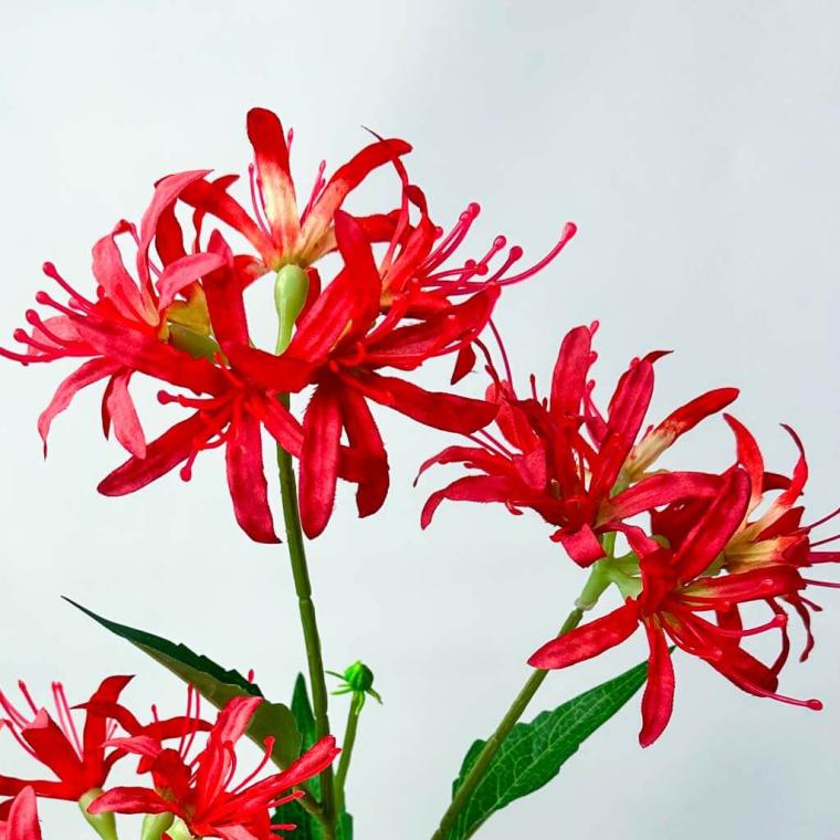 Загружен программно: 1753789321206307.jpg