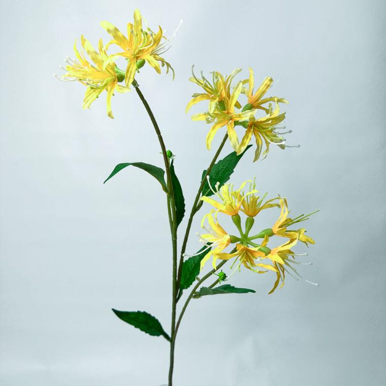 Загружен программно: 1753789322878448.jpg