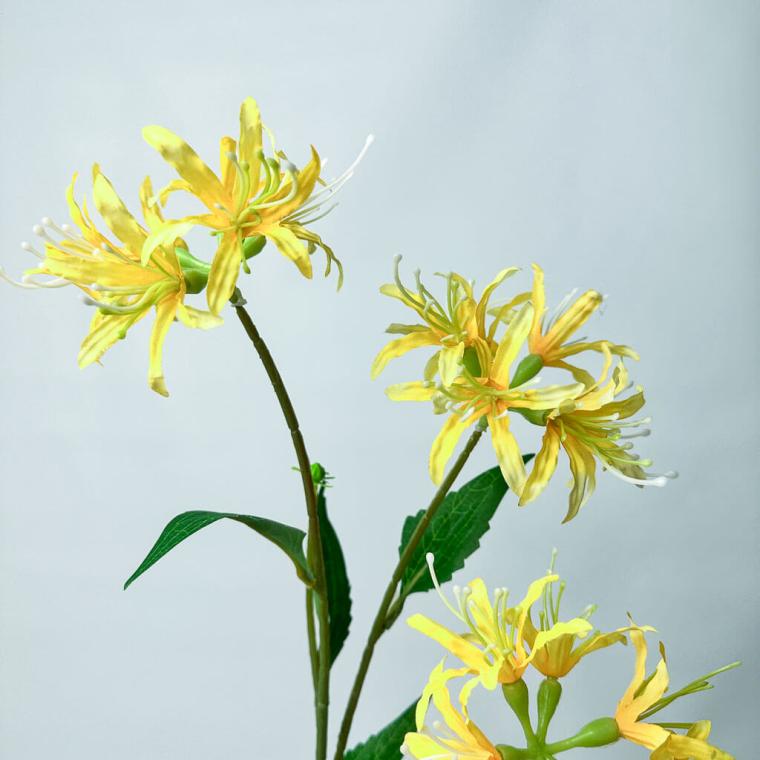 Загружен программно: 1753789323395883.jpg