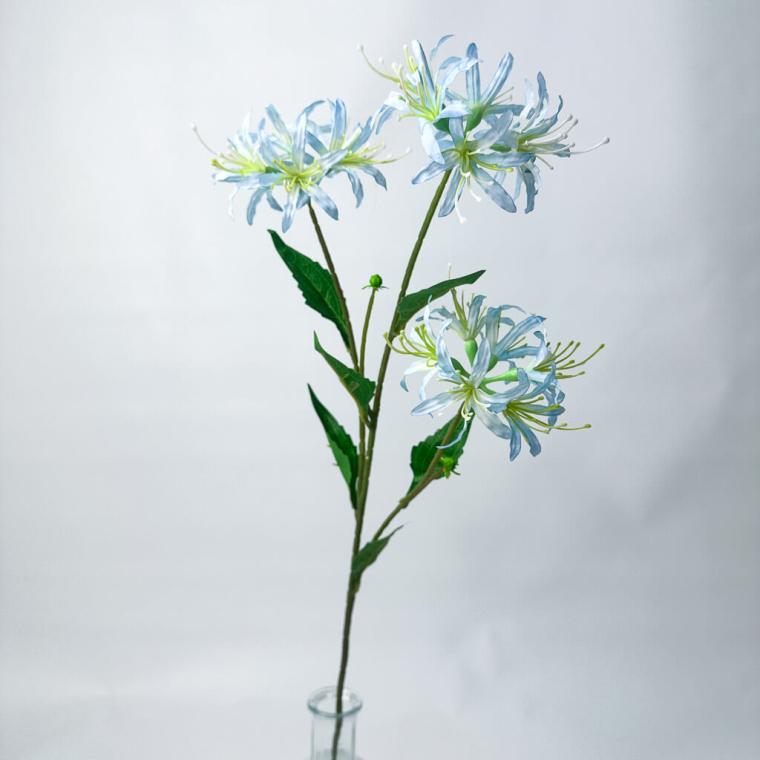 Загружен программно: 1753789324430265.jpg