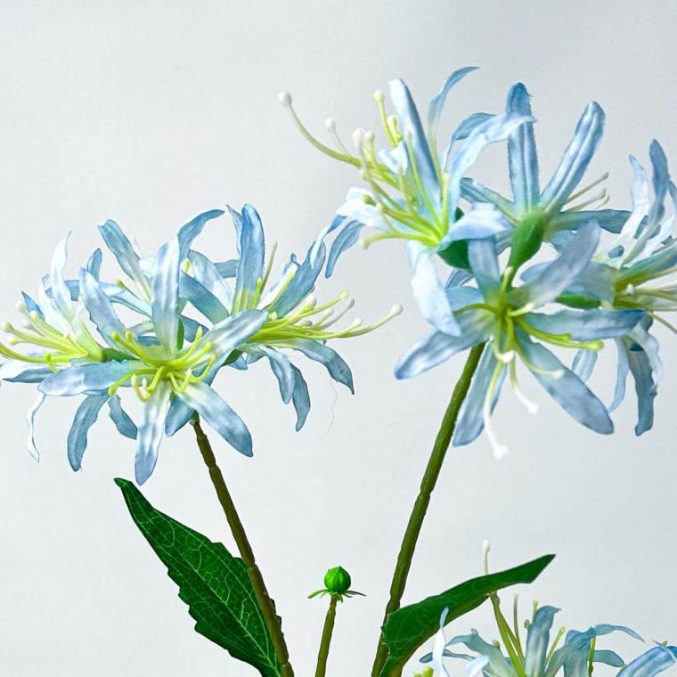 Загружен программно: 1753789324696794.jpg