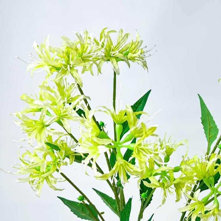 Загружен программно: 1753789327353904.jpg