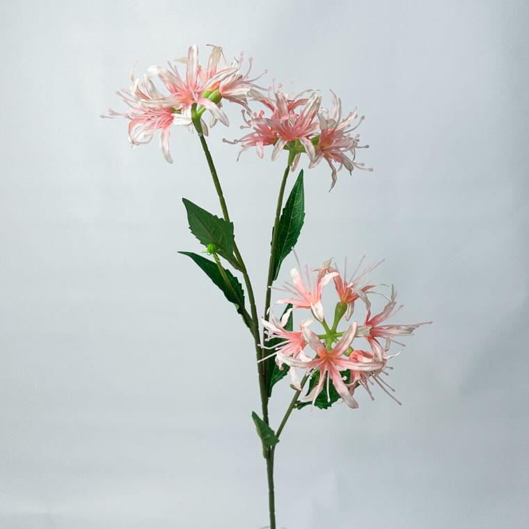 Загружен программно: 1753789342239840.jpg