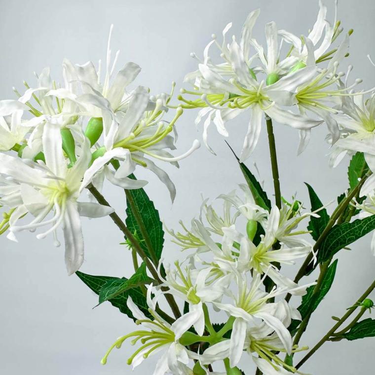 Загружен программно: 1753789343551974.jpg