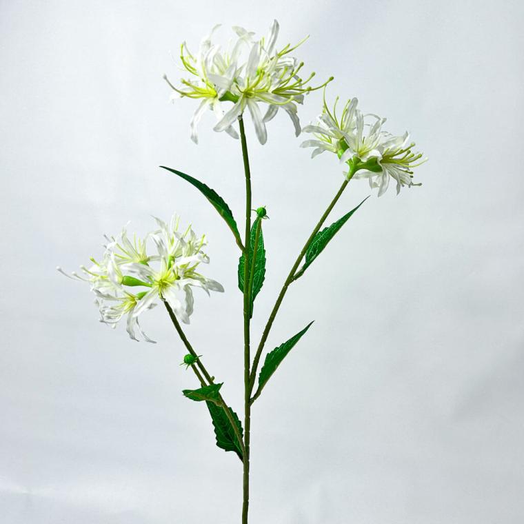 Загружен программно: 1753789343891167.jpg