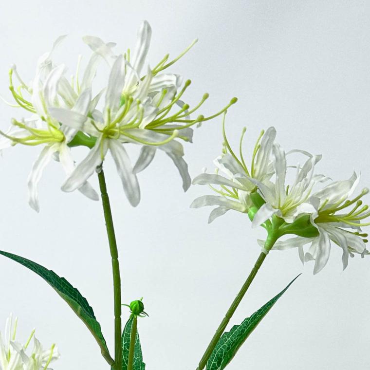 Загружен программно: 1753789344107074.jpg