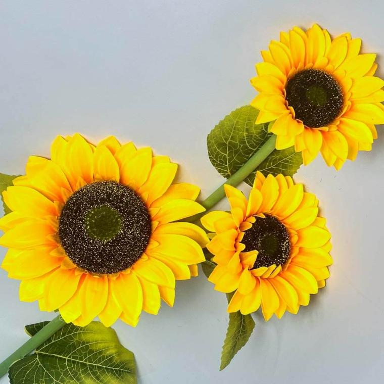 Загружен программно: 1753809068386097.jpg