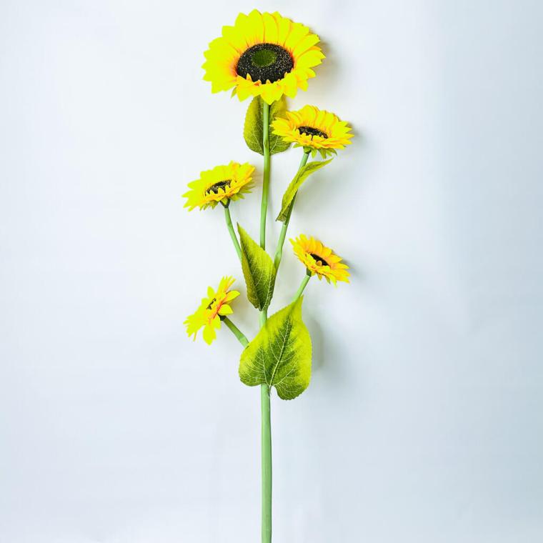 Загружен программно: 175380916917698.jpg