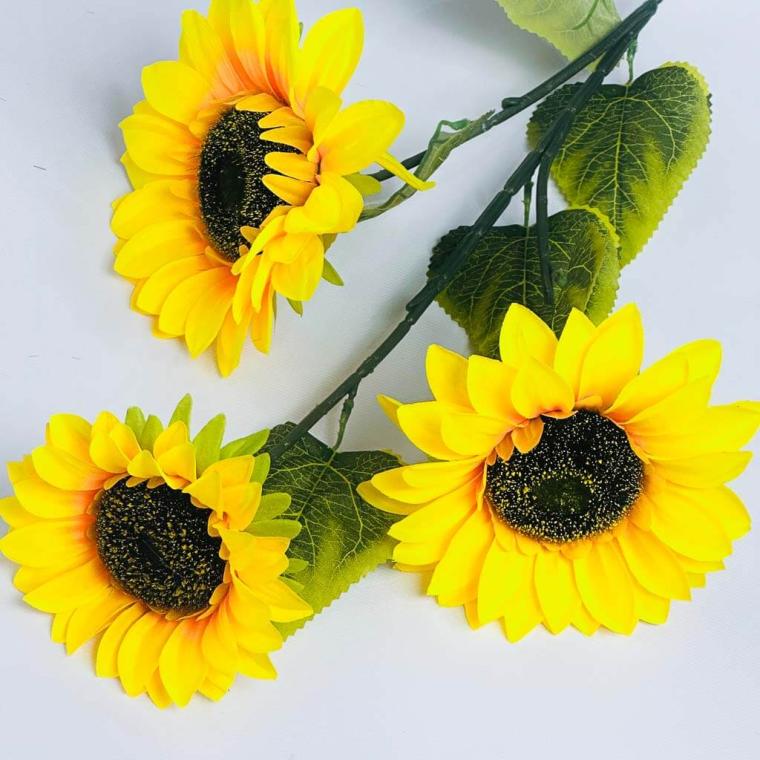 Загружен программно: 1753809292151489.jpg