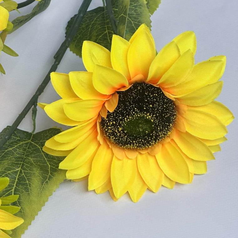 Загружен программно: 1753809294657284.jpg