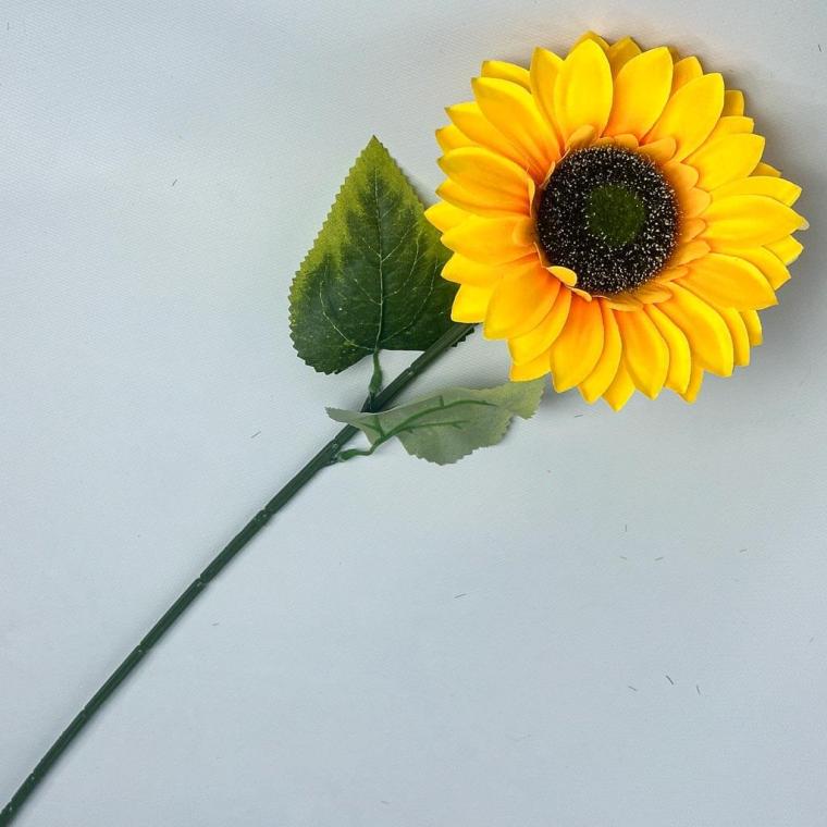 Загружен программно: 1753809346894999.jpg