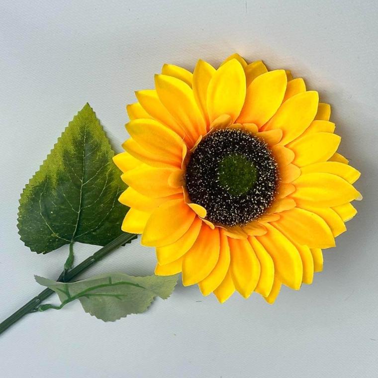 Загружен программно: 1753809347144319.jpg