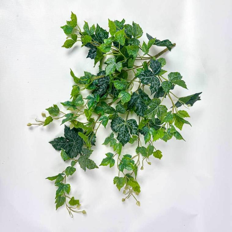 Загружен программно: 1753818111989670.jpg