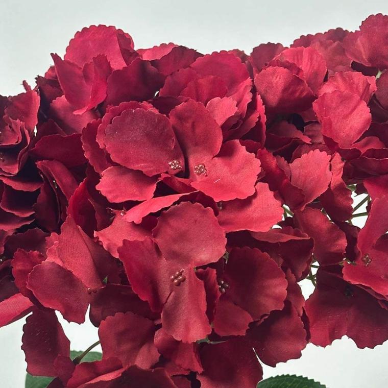 Загружен программно: 175396217074223.jpg