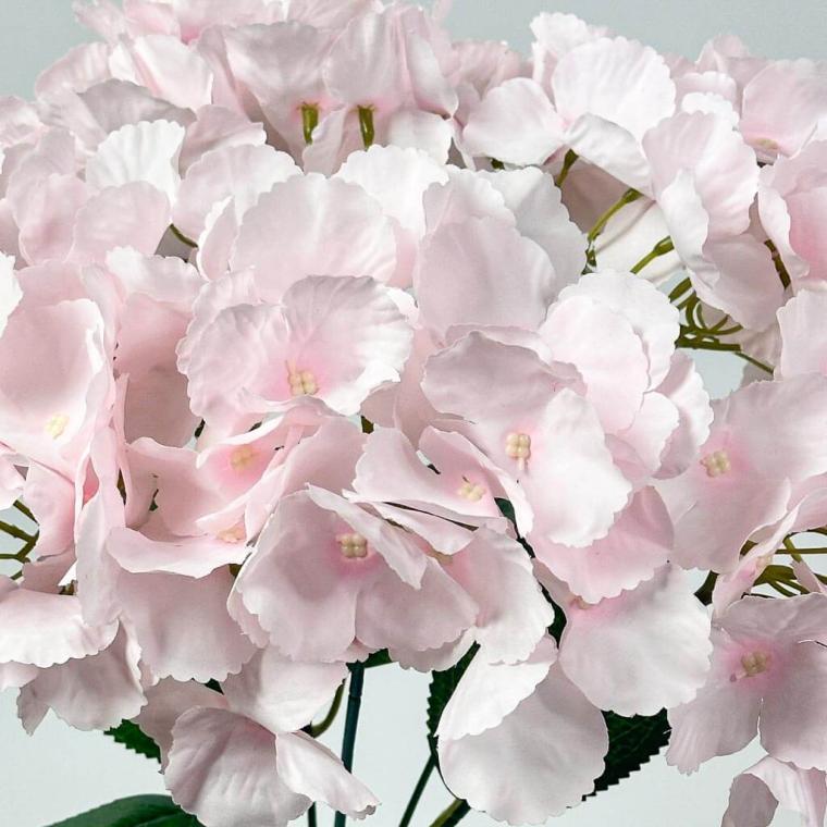 Загружен программно: 1753962194177228.jpg