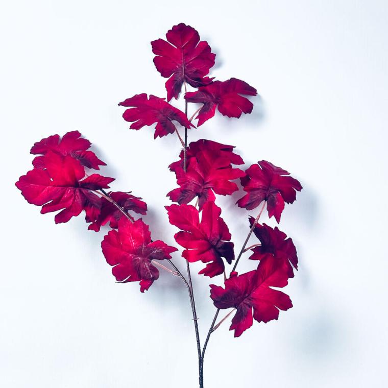 Загружен программно: 1754227531474907.jpg