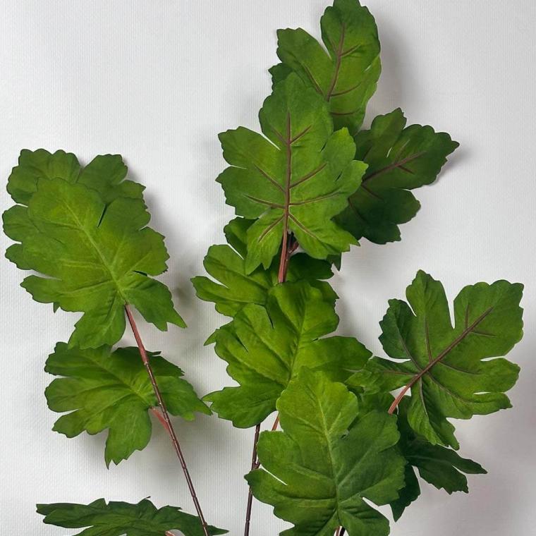 Загружен программно: 1754227605973773.jpg