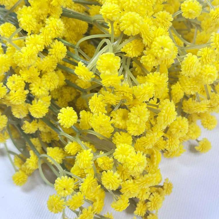 Загружен программно: 1754422018607850.jpg