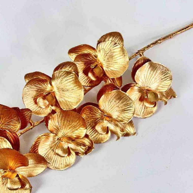 Загружен программно: 1755845765906267.jpg