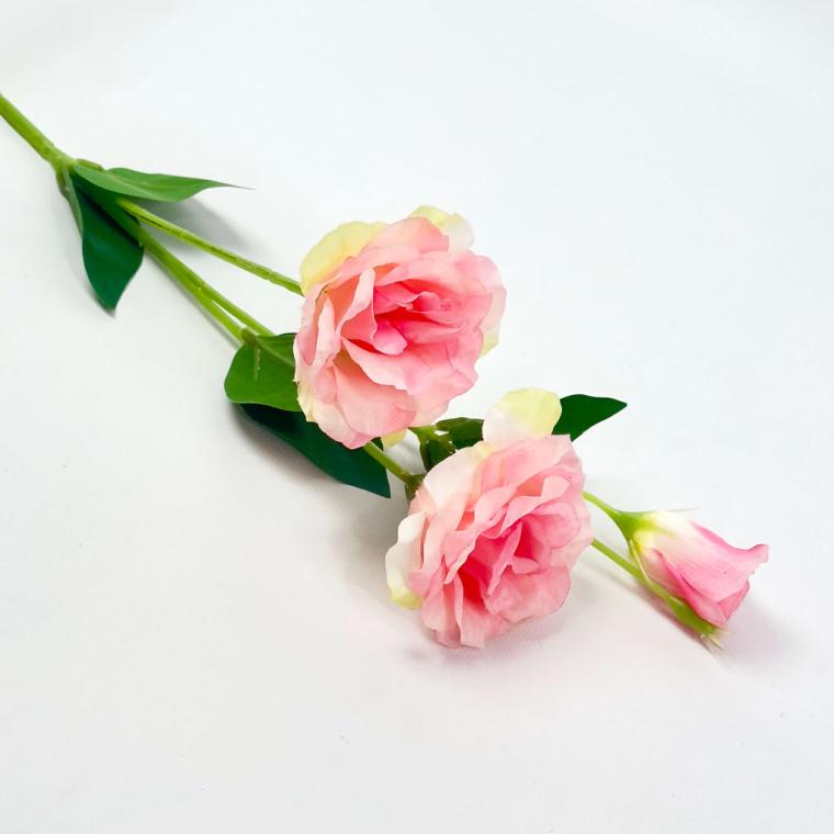 Загружен программно: 1757067781413746.jpg