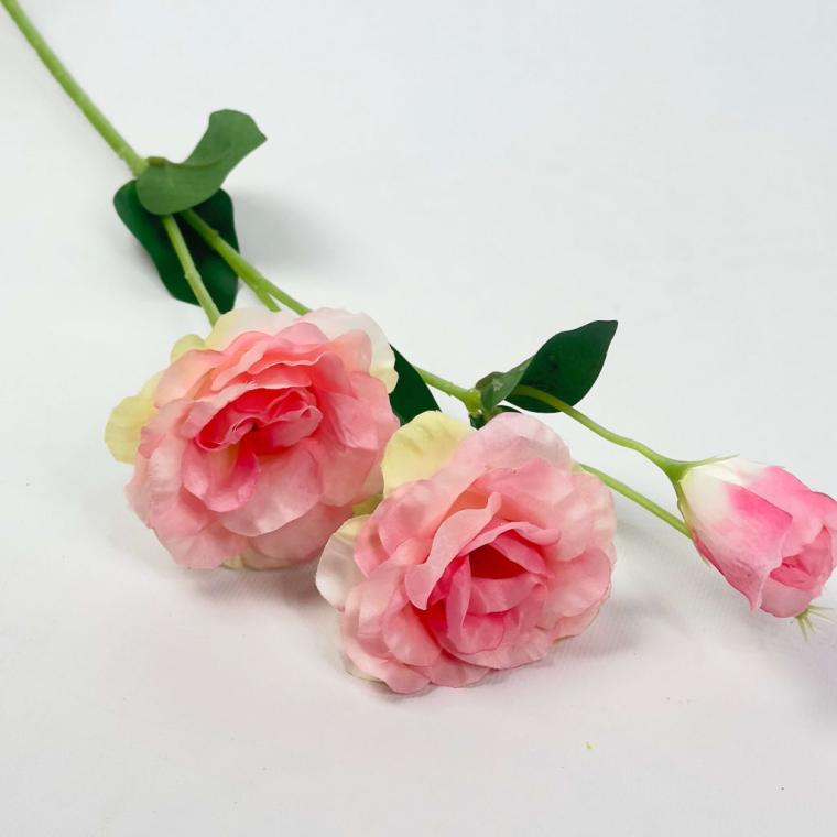 Загружен программно: 1757067781966055.jpg