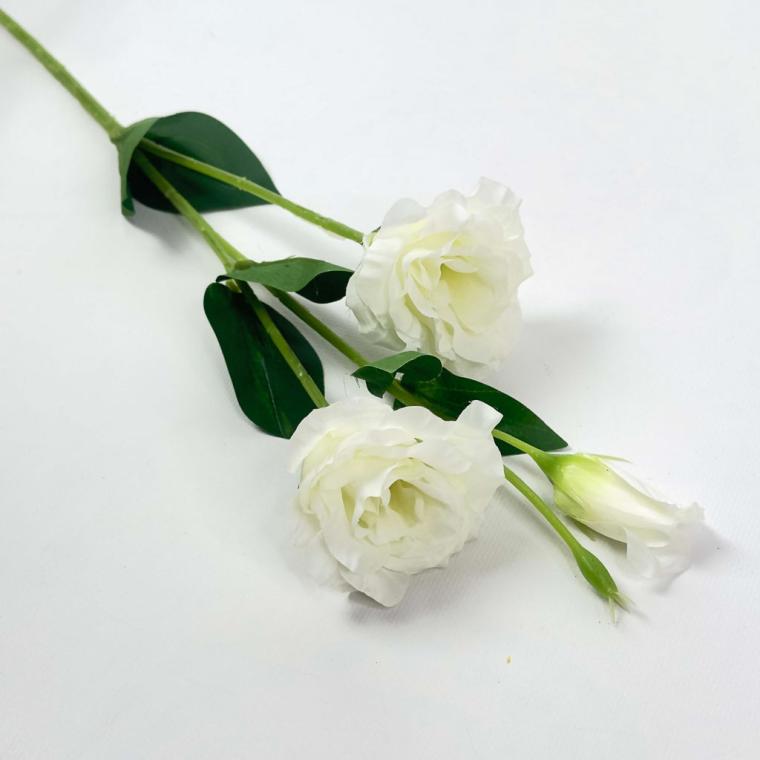 Загружен программно: 1757067787347412.jpg