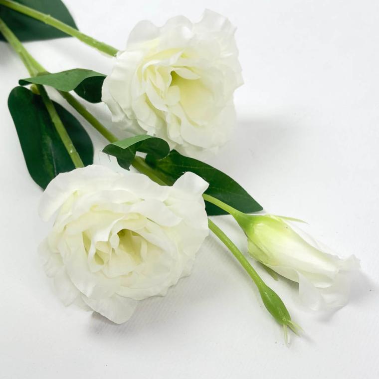 Загружен программно: 1757067787714747.jpg