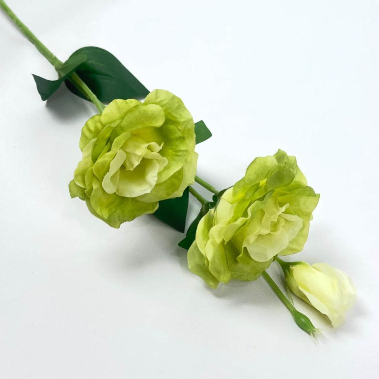 Загружен программно: 1757067788334808.jpg