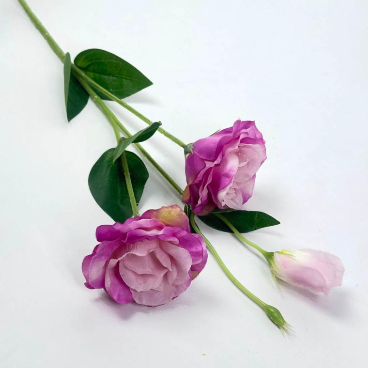 Загружен программно: 175706783179749.jpg