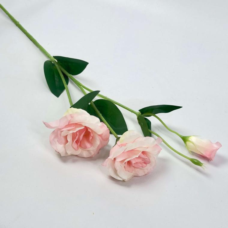 Загружен программно: 1757067833334246.jpg