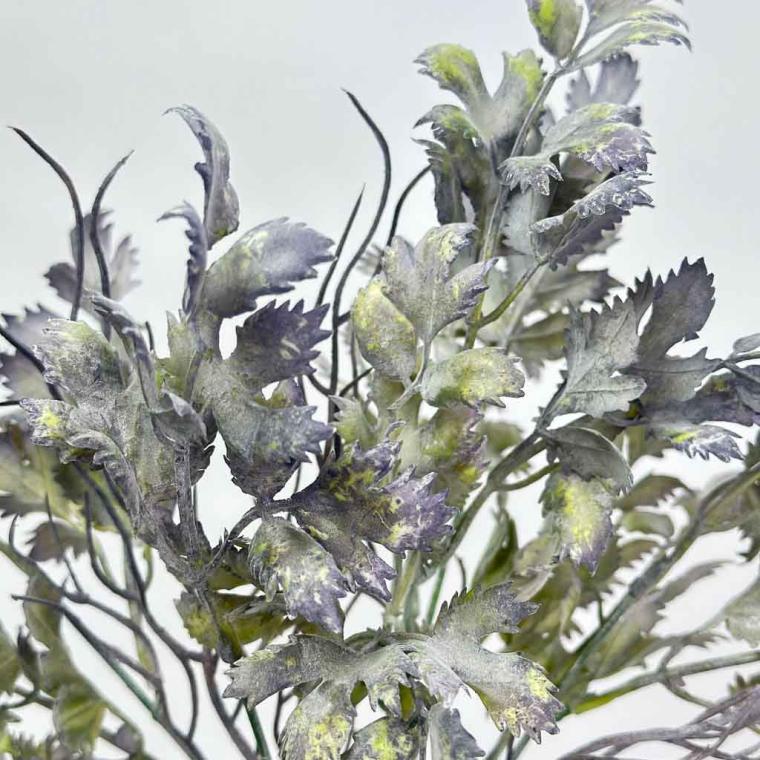 Загружен программно: 1757070517553503.jpg