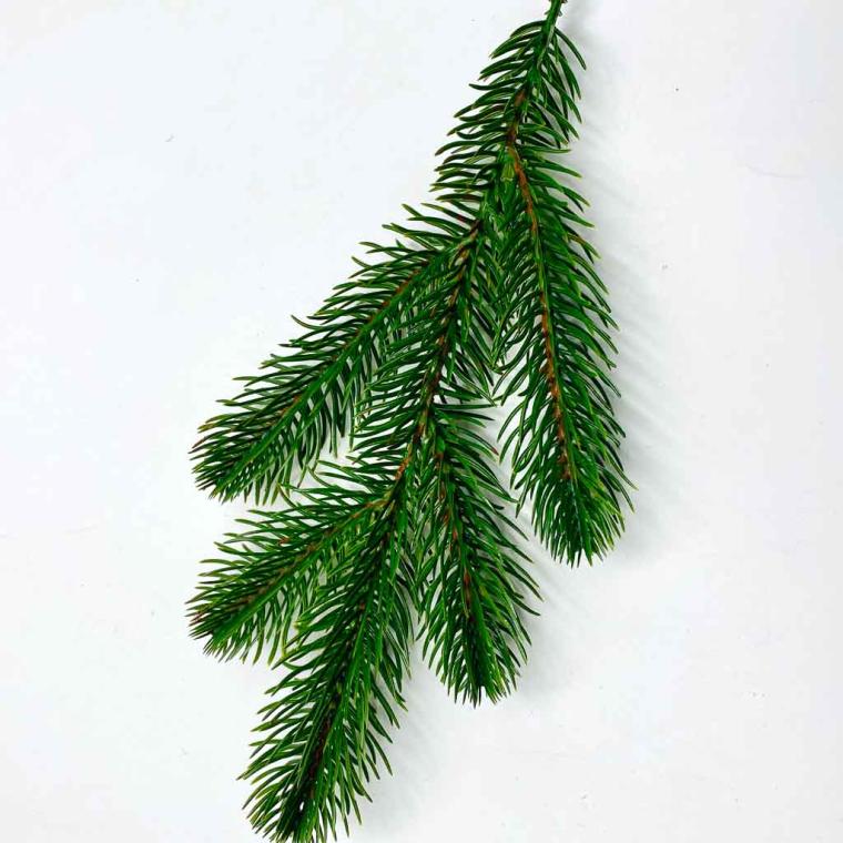 Загружен программно: 1757576226525027.jpg