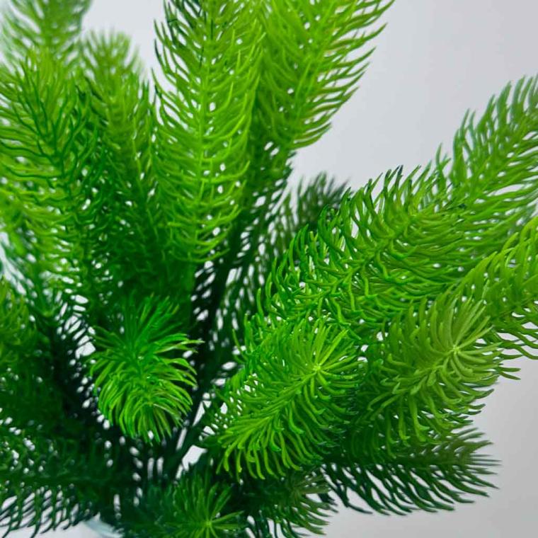 Загружен программно: 1758190278378562.jpg