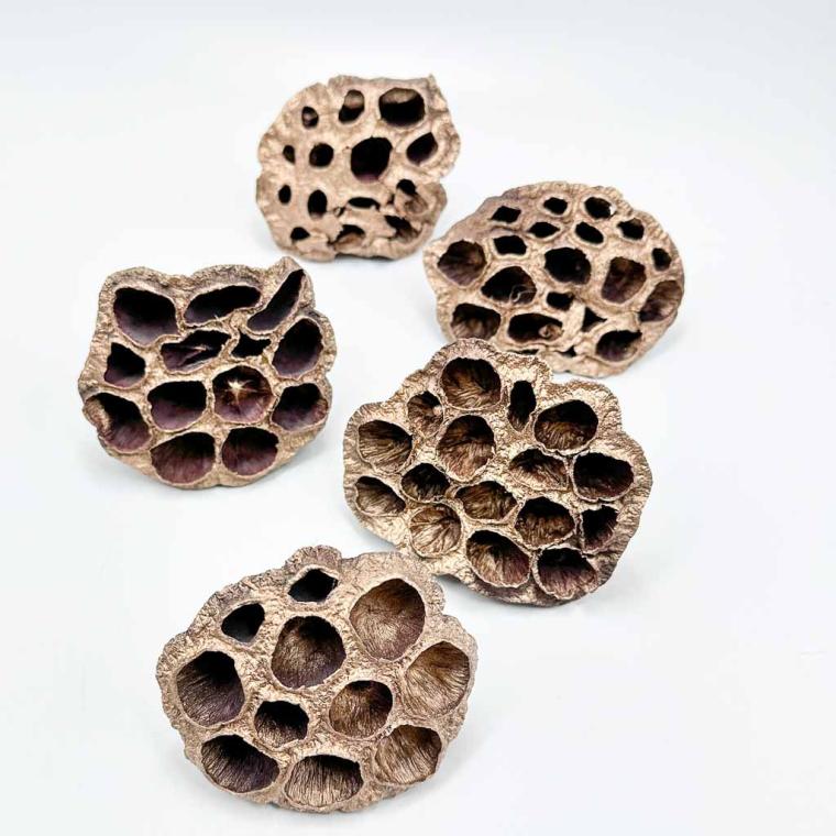 Загружен программно: 1761590189598467.jpg