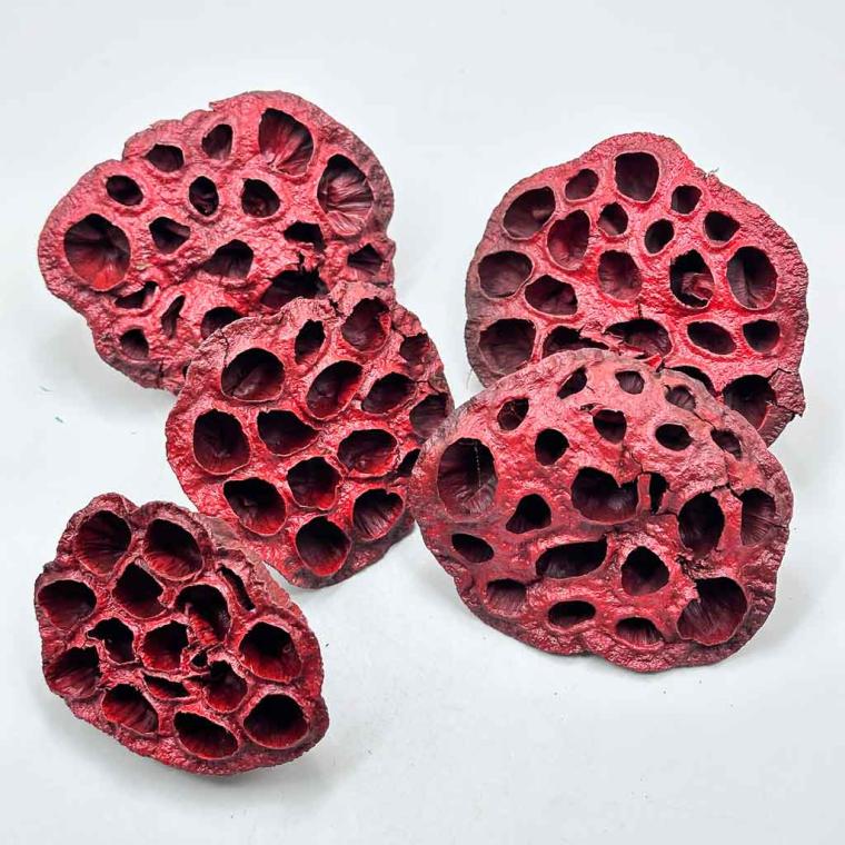 Загружен программно: 1761590191381897.jpg