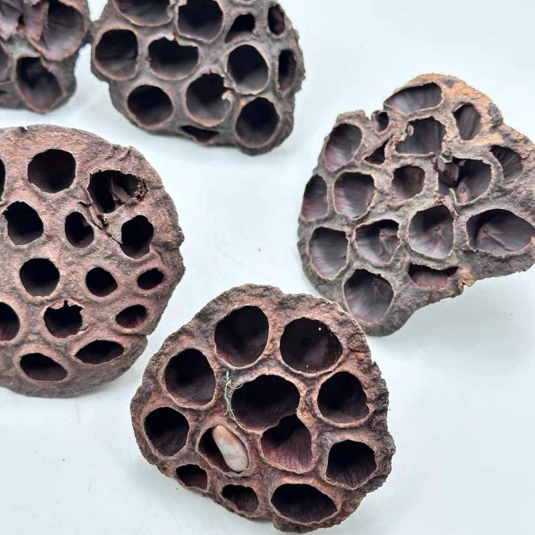 Загружен программно: 1761590199492394.jpg