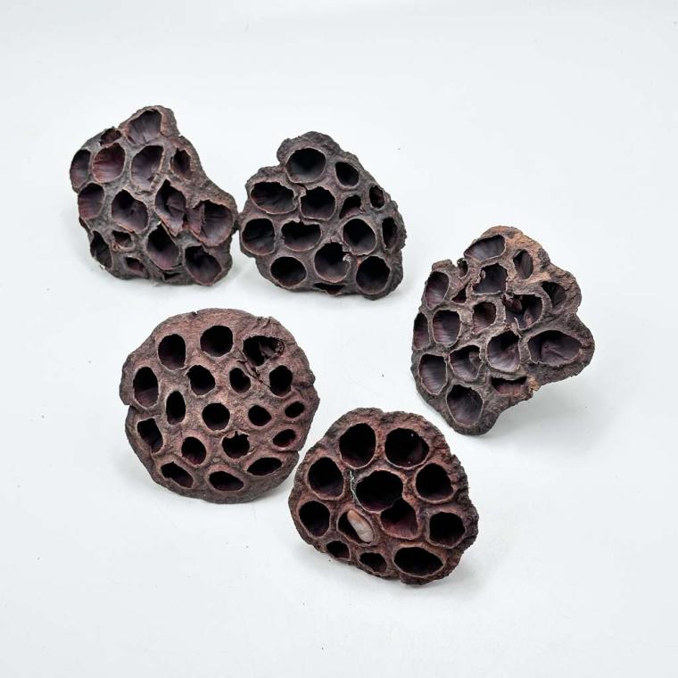 Загружен программно: 1761590202341342.jpg