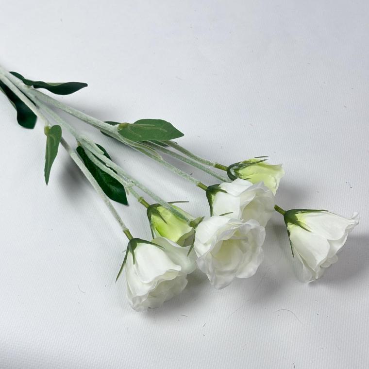 Загружен программно: 1761856694992249.jpg