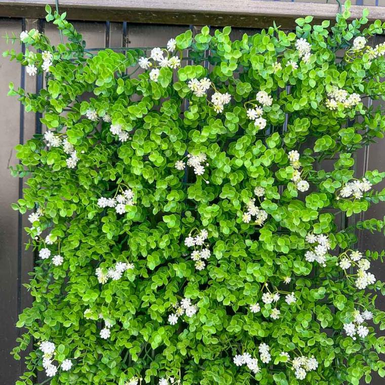 Загружен программно: 1762442004479776.jpg