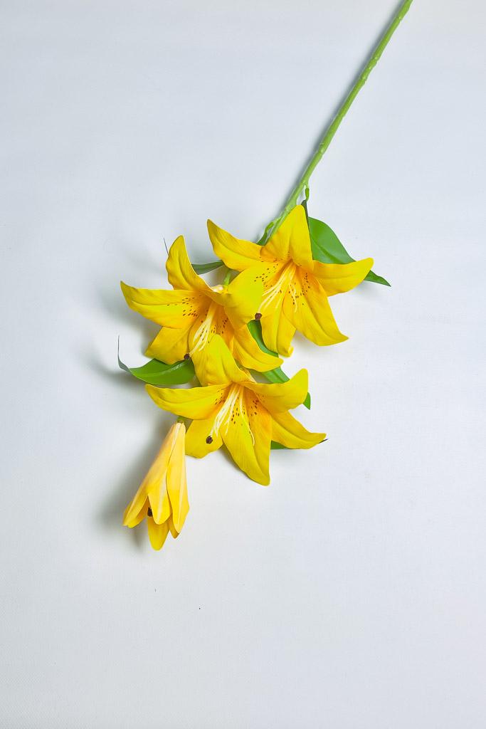 Загружен программно: 1770894032718727_0.jpg