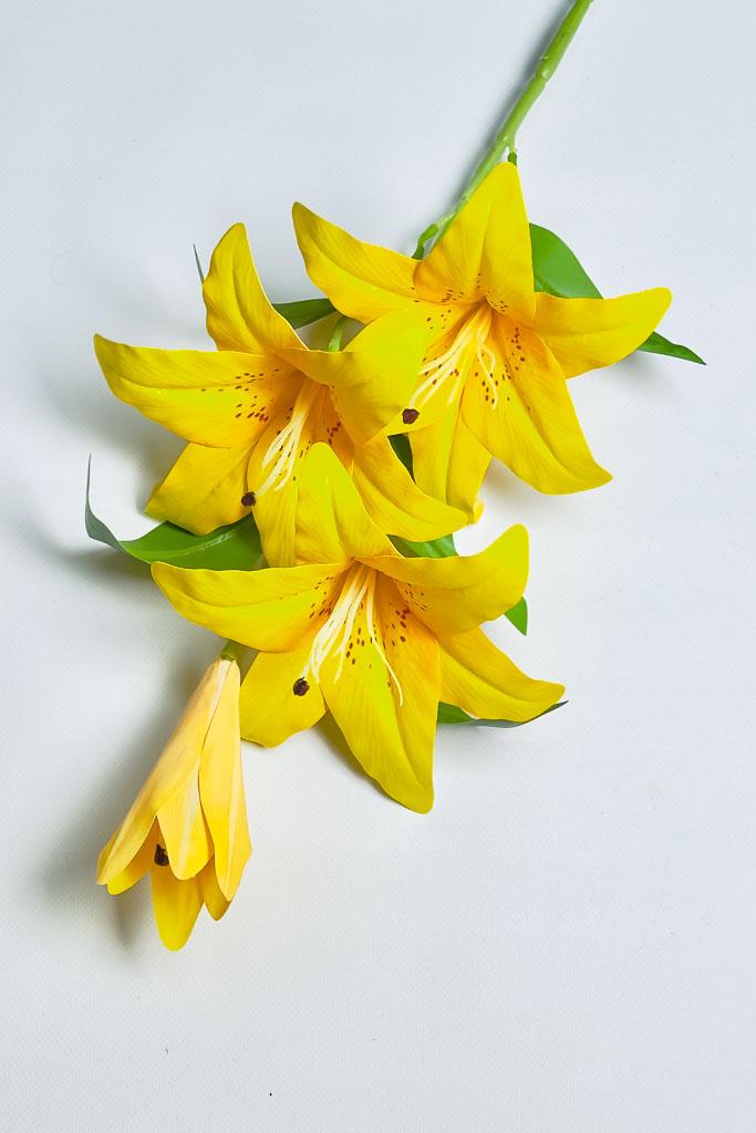 Загружен программно: 1770894032952208_0.jpg