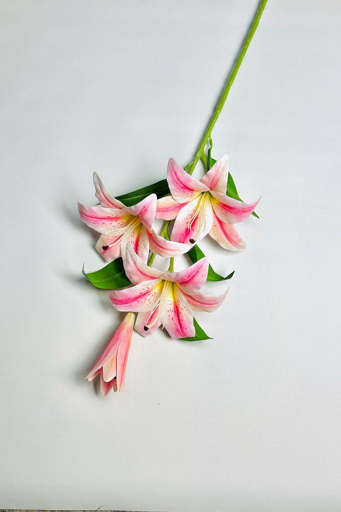 Загружен программно: 1770894033468102_0.jpg