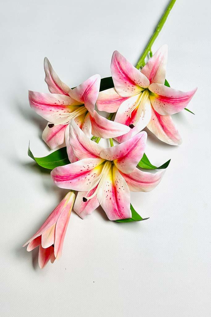 Загружен программно: 1770894033700945_0.jpg