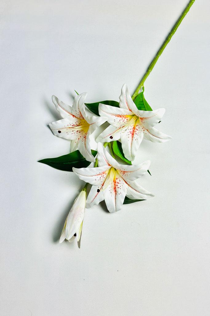 Загружен программно: 1770894034217433_0.jpg