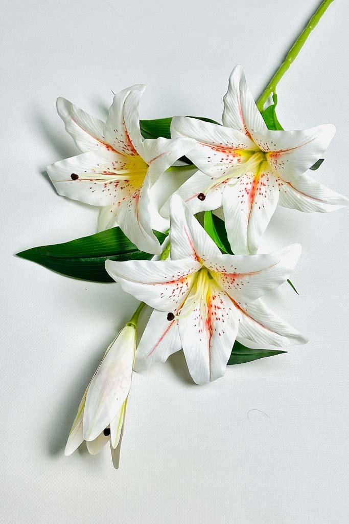 Загружен программно: 1770894034436572_0.jpg