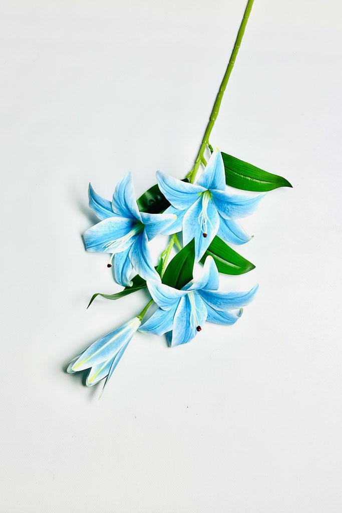 Загружен программно: 1770894035219192_0.jpg