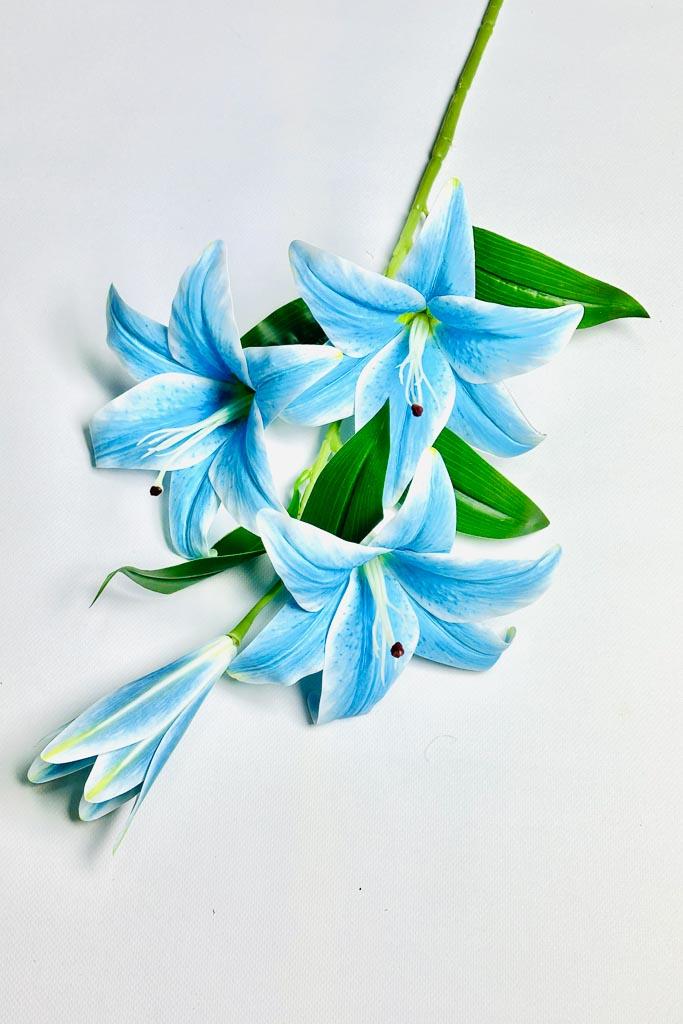 Загружен программно: 1770894035468412_0.jpg