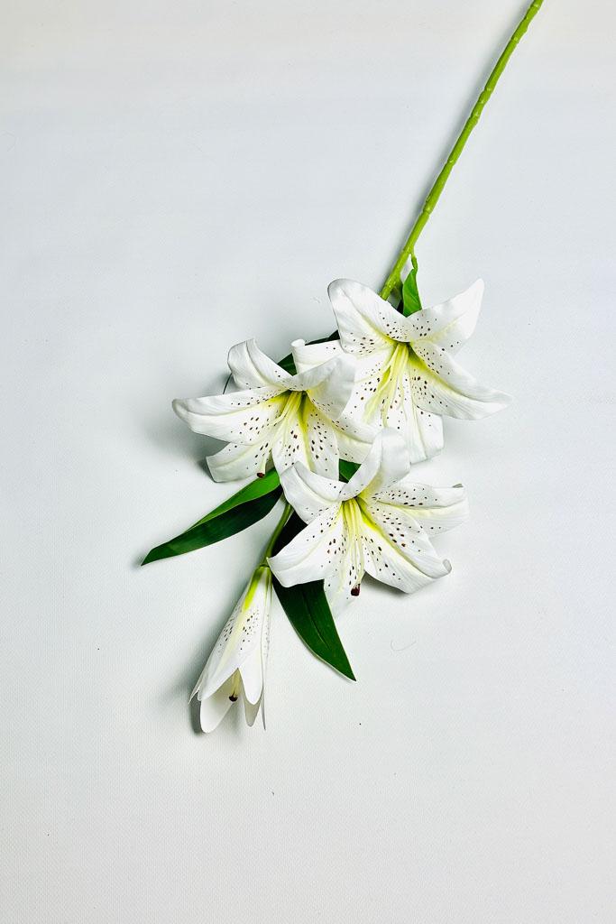 Загружен программно: 1770894035919708_0.jpg