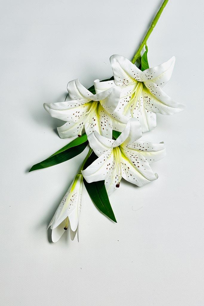 Загружен программно: 1770894036203238_0.jpg