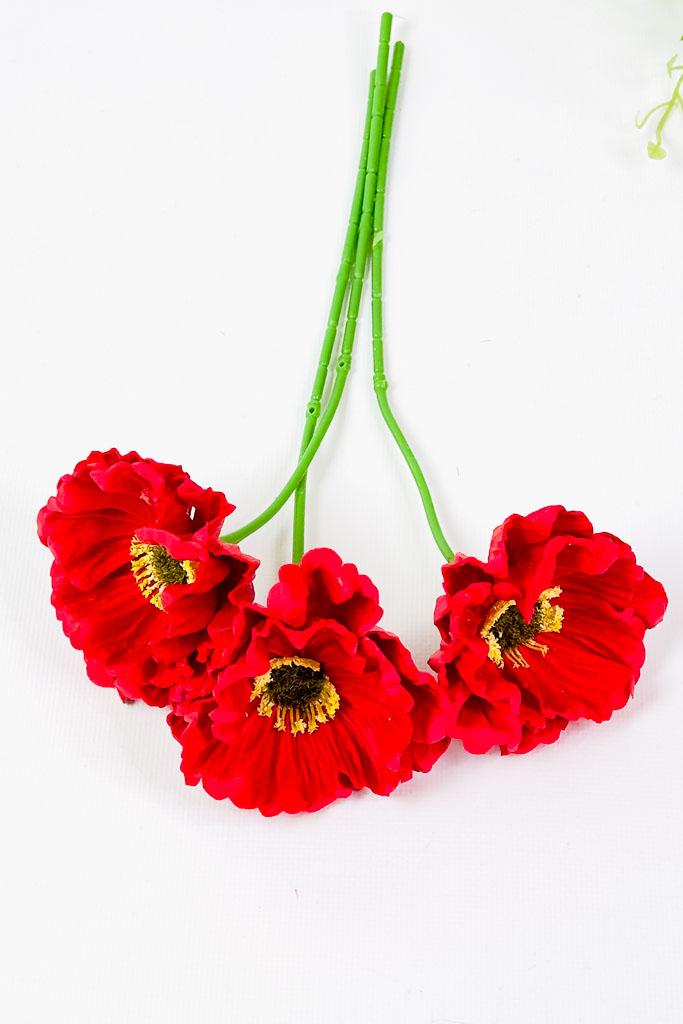 Загружен программно: 17709772103833.jpg